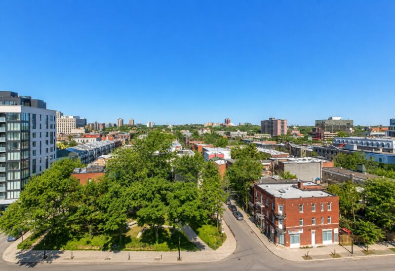 1220 Boul. René-Lévesque E. #910  Montréal (Ville-Marie) (Montréal)
