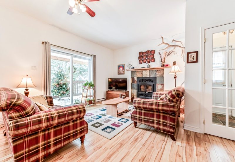 266 – 268 Ch. Seigneurial Sutton (Estrie)