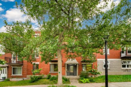 5280 Av. d’Orléans #1  Montréal (Rosemont/La Petite-Patrie) (Montréal)