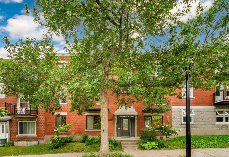 5280 Av. d’Orléans #1  Montréal (Rosemont/La Petite-Patrie) (Montréal)