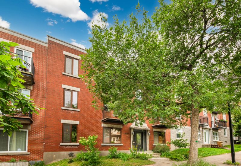 5280 Av. d’Orléans #1  Montréal (Rosemont/La Petite-Patrie) (Montréal)