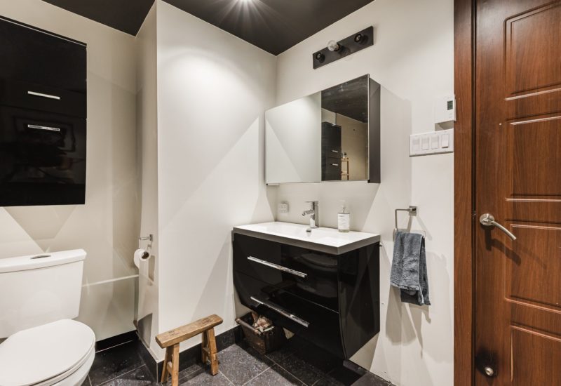 5280 Av. d’Orléans #1  Montréal (Rosemont/La Petite-Patrie) (Montréal)