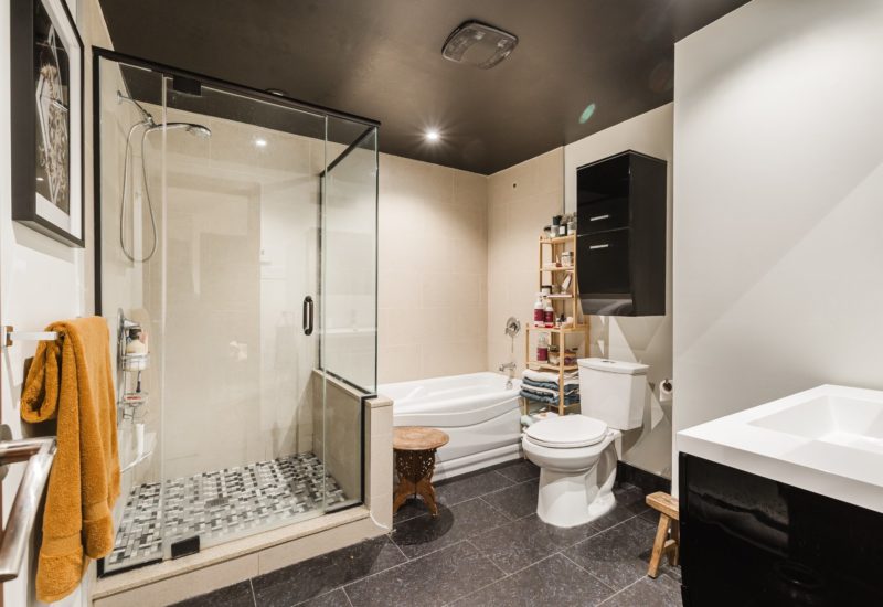 5280 Av. d’Orléans #1  Montréal (Rosemont/La Petite-Patrie) (Montréal)
