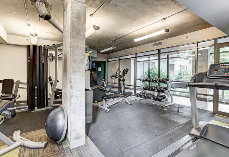 1811 Rue William #216 Montréal (Le Sud-Ouest) (Montréal)