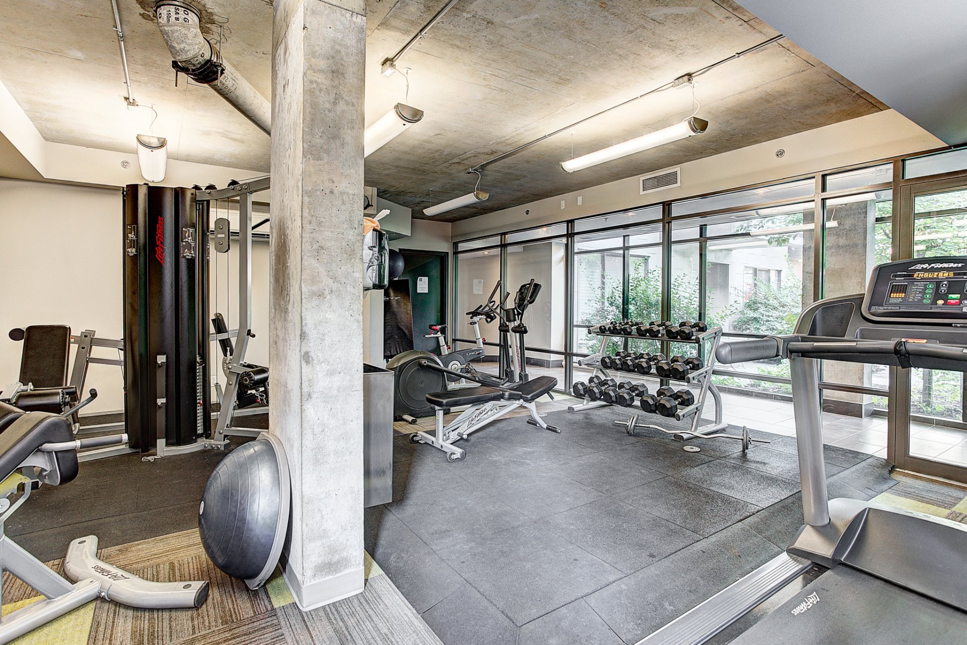 1811 Rue William #216 Montréal (Le Sud-Ouest) (Montréal)