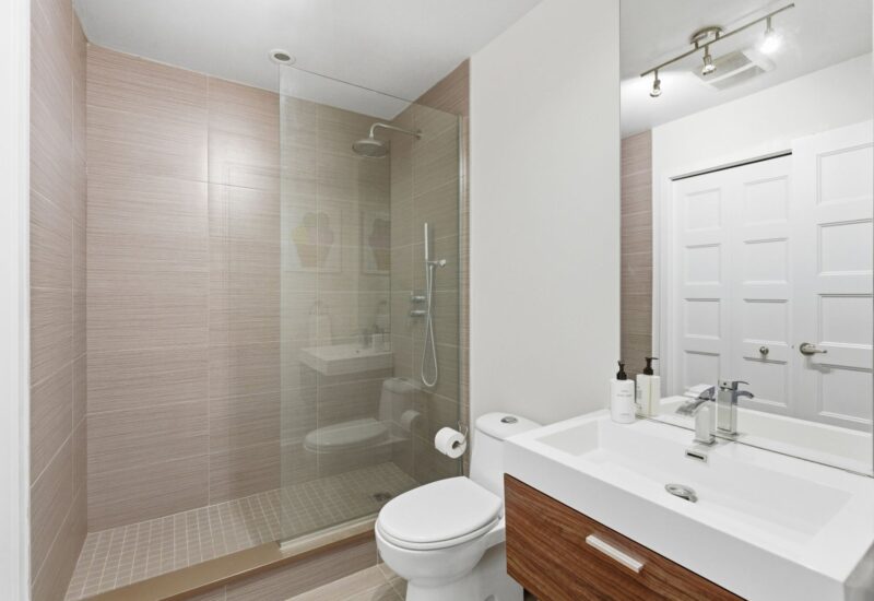 1811 Rue William #216 Montréal (Le Sud-Ouest) (Montréal)