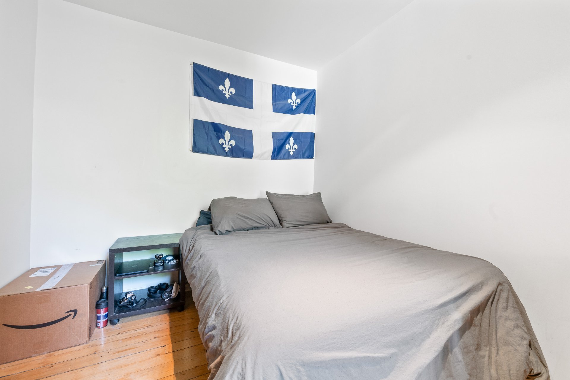 4244 Rue Berri Montréal (Le Plateau-Mont-Royal) (Montréal)