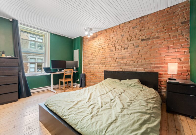 4244 Rue Berri Montréal (Le Plateau-Mont-Royal) (Montréal)