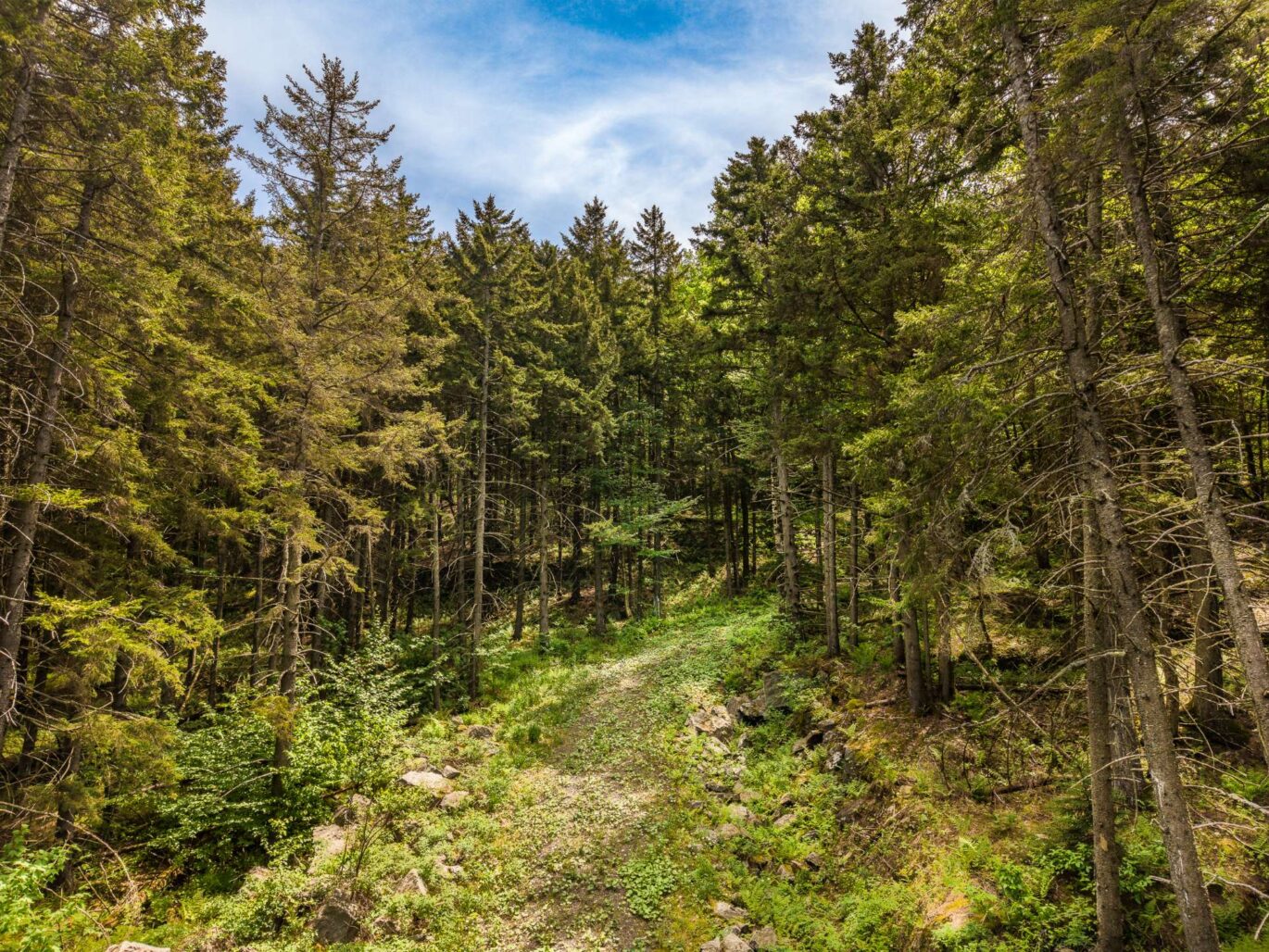 Ch. des Appalaches Bolton-Ouest (Estrie)