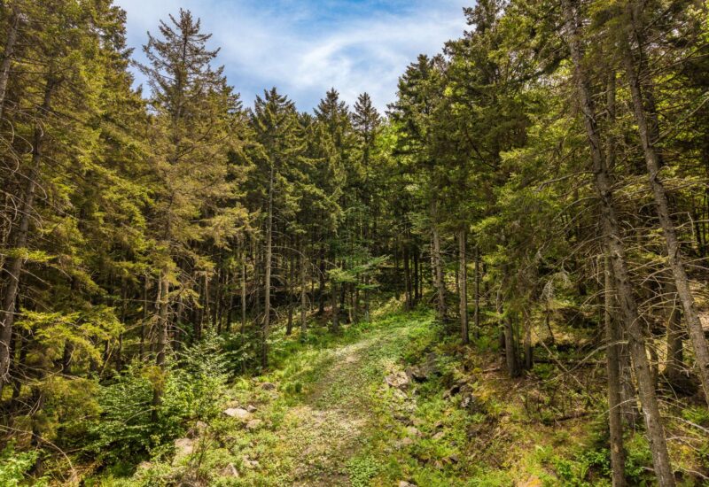 Ch. des Appalaches Bolton-Ouest (Estrie)