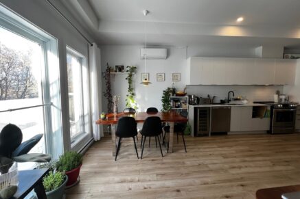 7448 Av. De Chateaubriand #B Montréal (Villeray/Saint-Michel/Parc-Extension) (Montréal)