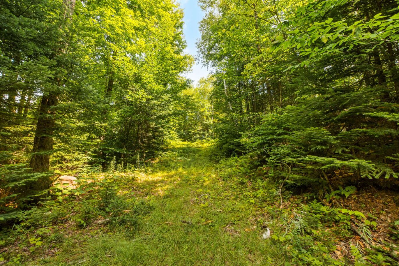 Ch. des Hauteurs Sainte-Adèle (Laurentides)