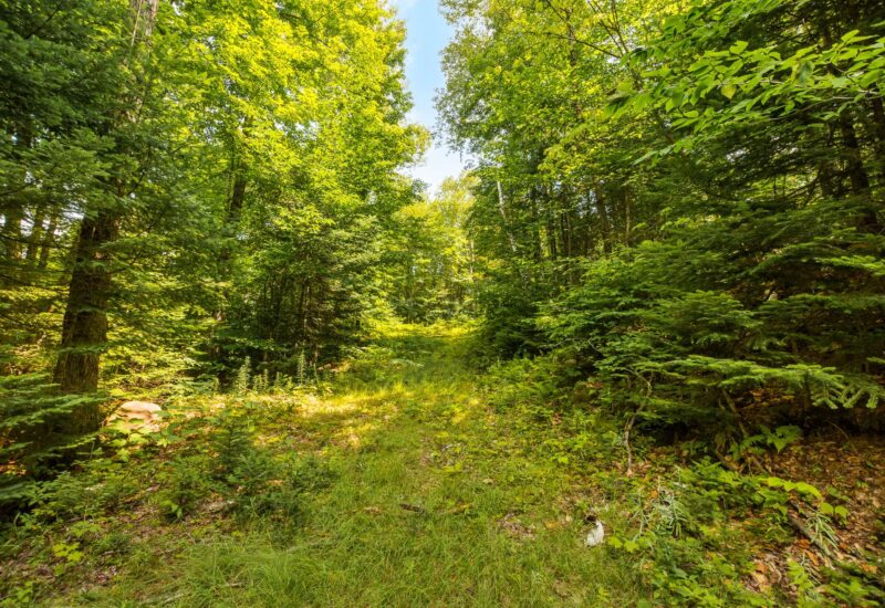 Ch. des Hauteurs Sainte-Adèle (Laurentides)