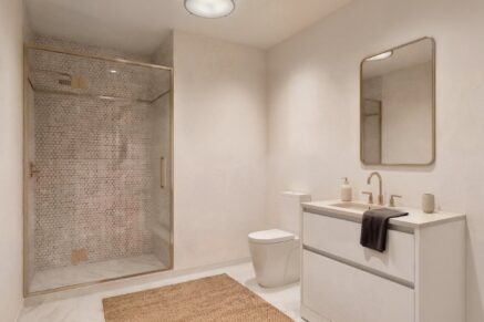 6844 Rue Marquette #1 Montréal (Rosemont/La Petite-Patrie) (Montréal)