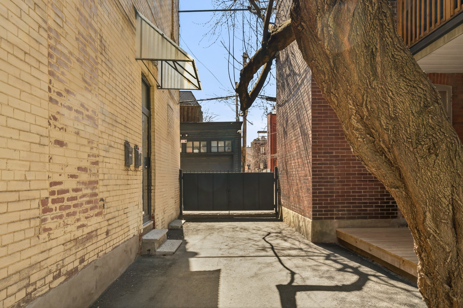 5168 Av. du Parc Montréal (Le Plateau-Mont-Royal) (Montréal)