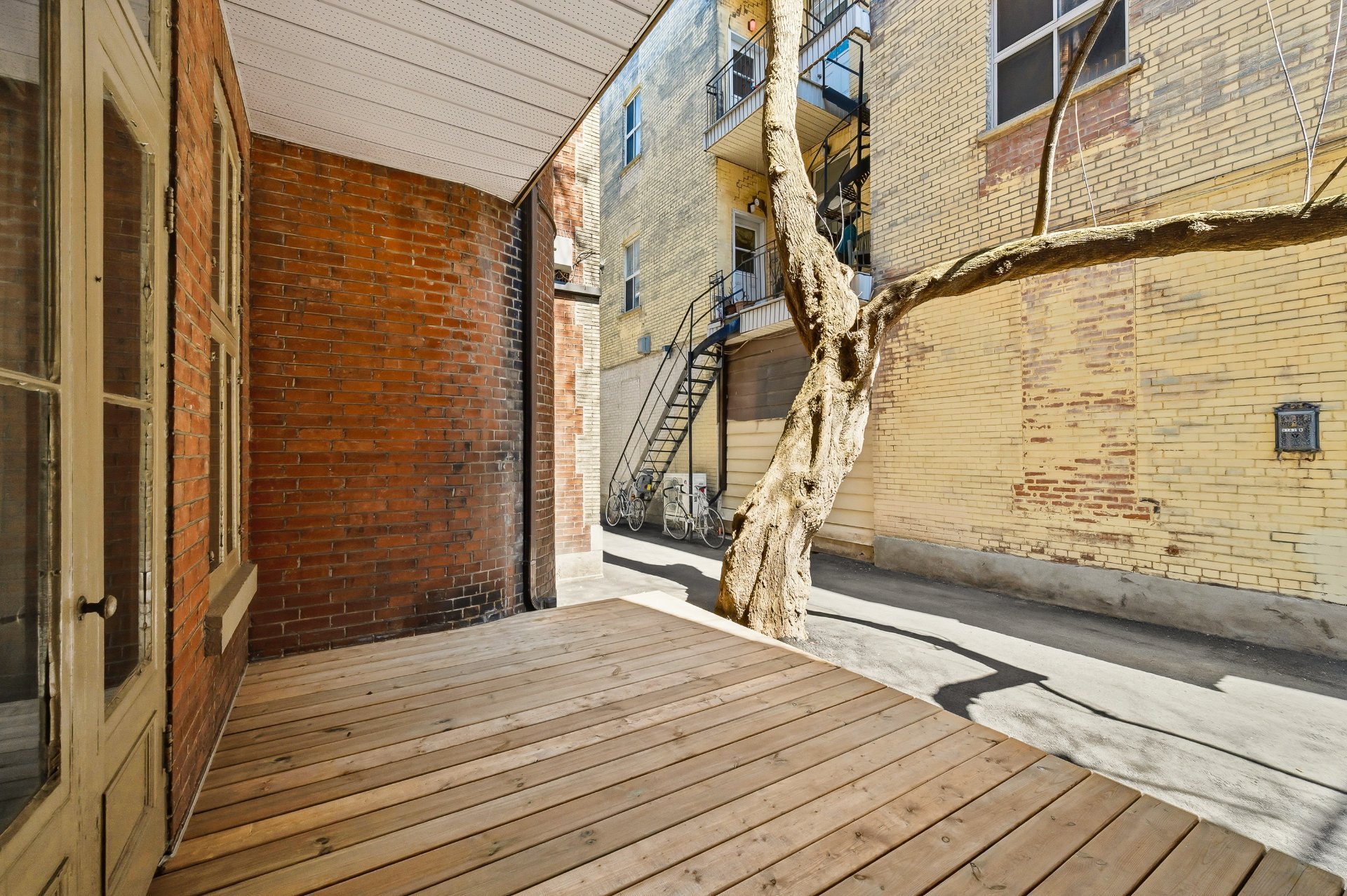 5168 Av. du Parc Montréal (Le Plateau-Mont-Royal) (Montréal)