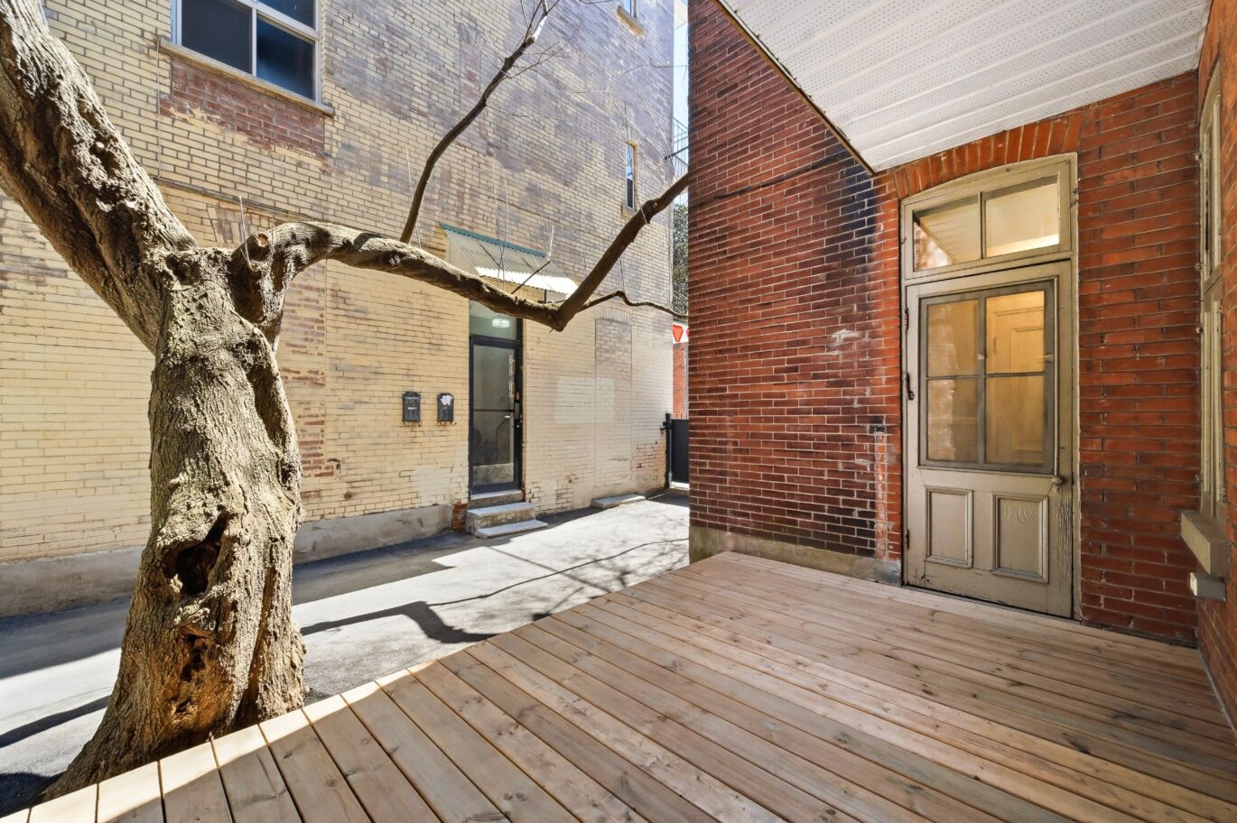 5168 Av. du Parc Montréal (Le Plateau-Mont-Royal) (Montréal)