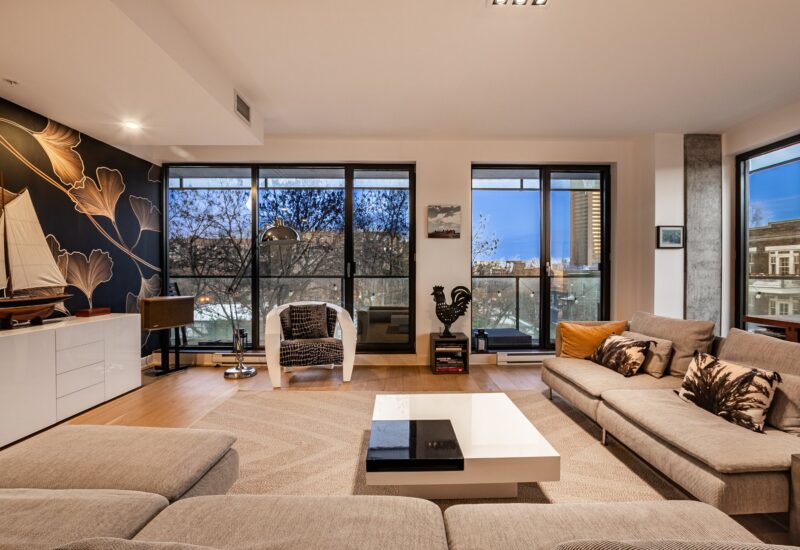 1575 Rue Gareau #406 Montréal (Ville-Marie) (Montréal)