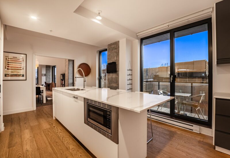 1575 Rue Gareau #406 Montréal (Ville-Marie) (Montréal)