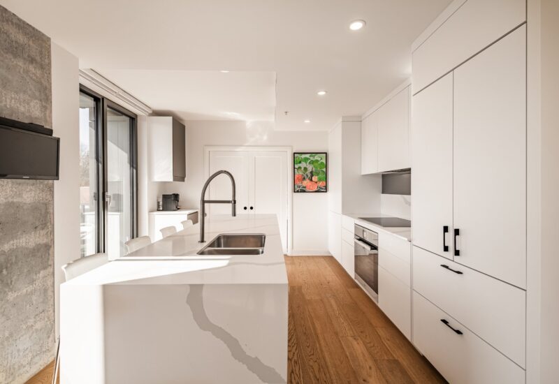 1575 Rue Gareau #406 Montréal (Ville-Marie) (Montréal)