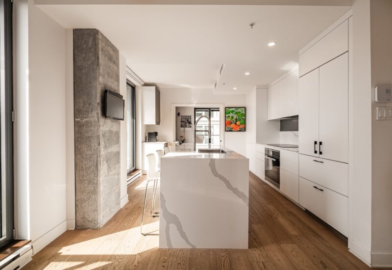 1575 Rue Gareau #406 Montréal (Ville-Marie) (Montréal)