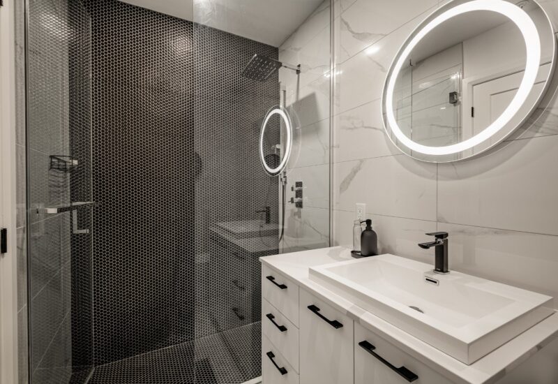 1575 Rue Gareau #406 Montréal (Ville-Marie) (Montréal)