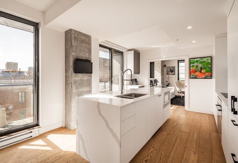 1575 Rue Gareau #406 Montréal (Ville-Marie) (Montréal)