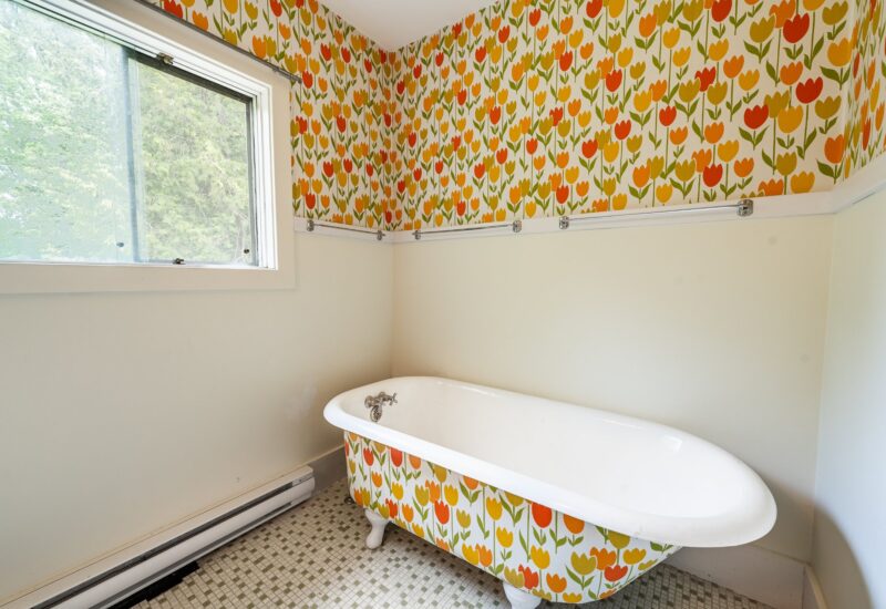 60 Rue St-Paul Lac-Brome (Estrie)