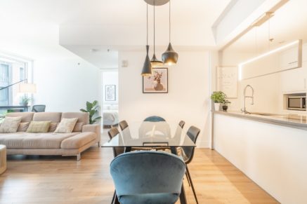 370 Rue St-André #308  Montréal (Ville-Marie) (Montréal)