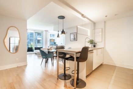 370 Rue St-André #308  Montréal (Ville-Marie) (Montréal)