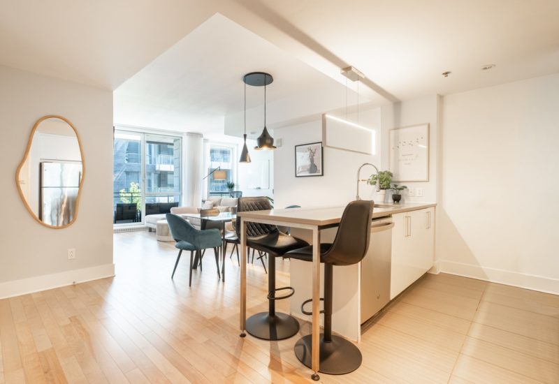 370 Rue St-André #308  Montréal (Ville-Marie) (Montréal)