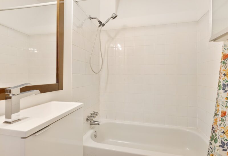2566 Rue De Chambly #1 Montréal (Mercier/Hochelaga-Maisonneuve) (Montréal)