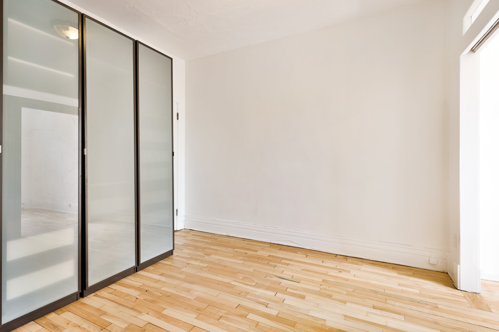 2566 Rue De Chambly #1 Montréal (Mercier/Hochelaga-Maisonneuve) (Montréal)