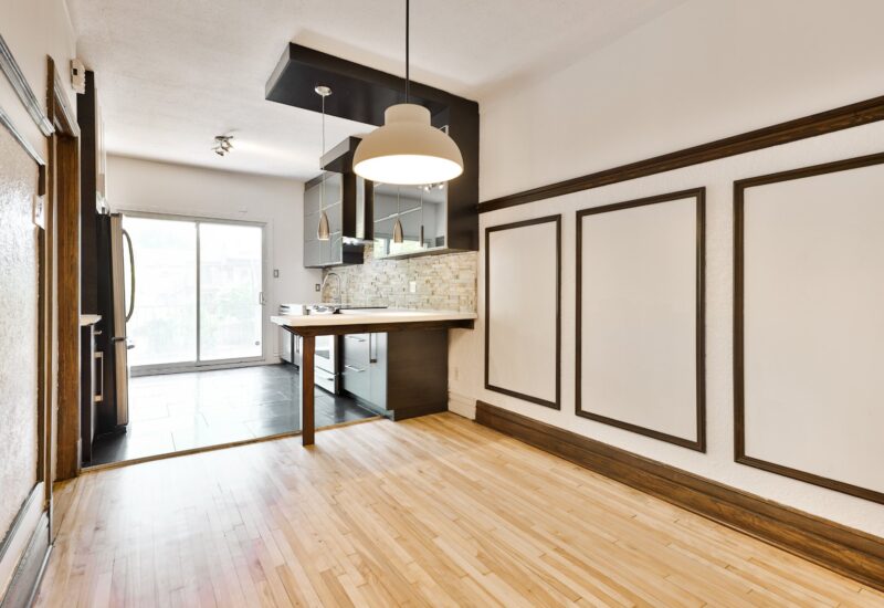 2566 Rue De Chambly #1 Montréal (Mercier/Hochelaga-Maisonneuve) (Montréal)