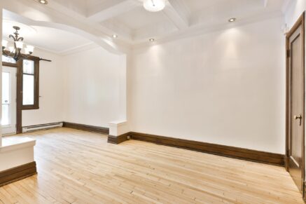 2566 Rue De Chambly #1 Montréal (Mercier/Hochelaga-Maisonneuve) (Montréal)