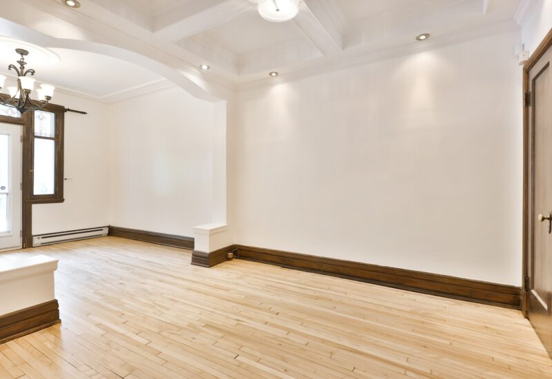 2566 Rue De Chambly #1 Montréal (Mercier/Hochelaga-Maisonneuve) (Montréal)