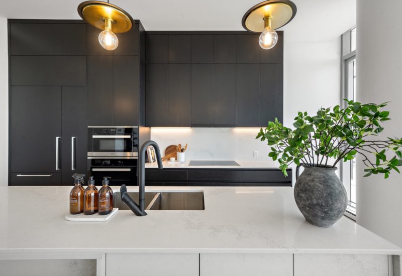 720 Rue St-Jacques #5502 Montréal (Ville-Marie) (Montréal)