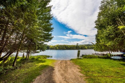30 Ch. McDonald Harrington (Laurentides)