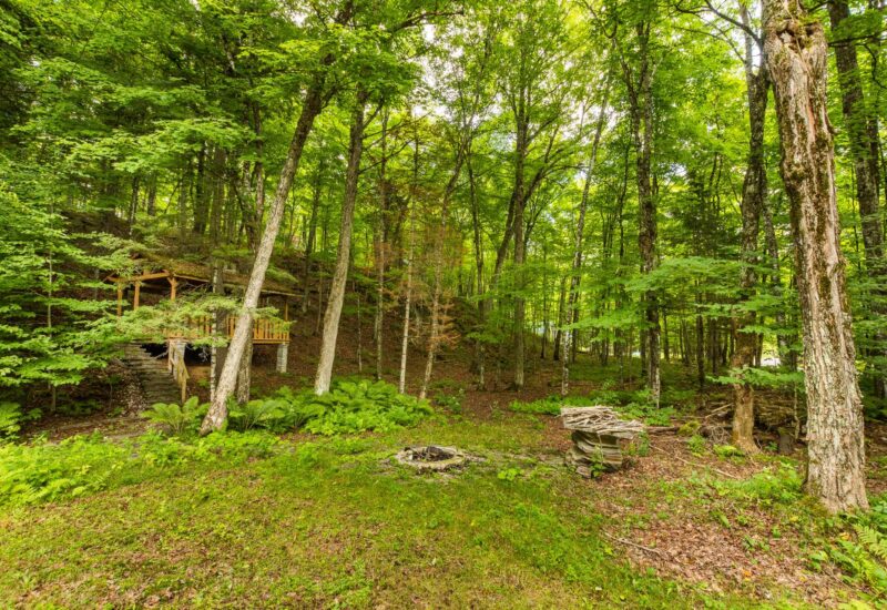 30 Ch. McDonald Harrington (Laurentides)