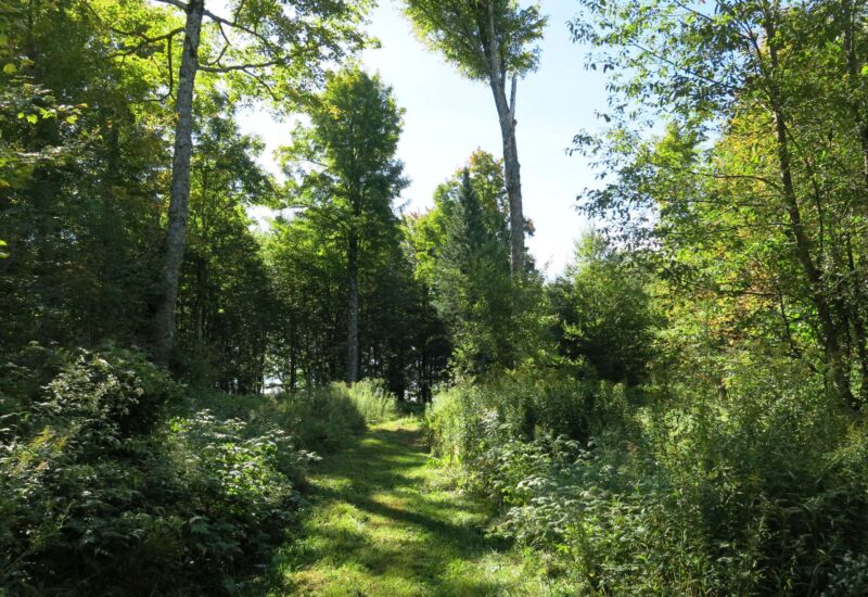 855 Route 112 Dudswell (Estrie)
