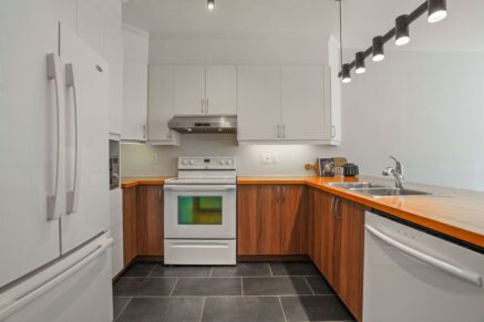6675 Rue St-Urbain #302 Montréal (Rosemont/La Petite-Patrie) (Montréal)