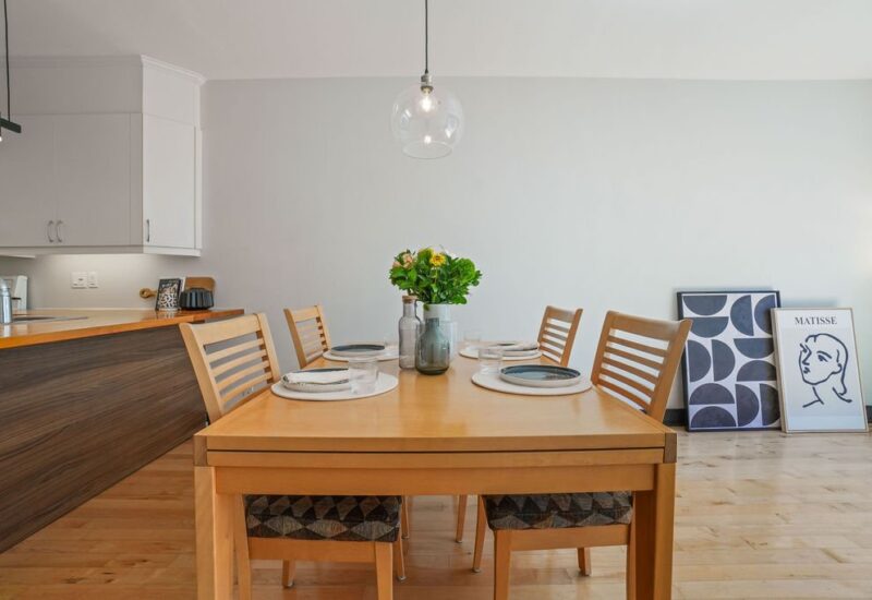 6675 Rue St-Urbain #302 Montréal (Rosemont/La Petite-Patrie) (Montréal)