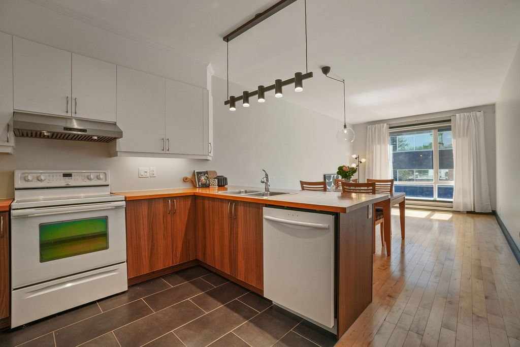 6675 Rue St-Urbain #302 Montréal (Rosemont/La Petite-Patrie) (Montréal)