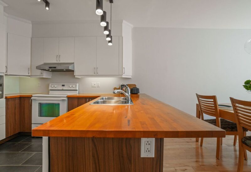 6675 Rue St-Urbain #302 Montréal (Rosemont/La Petite-Patrie) (Montréal)