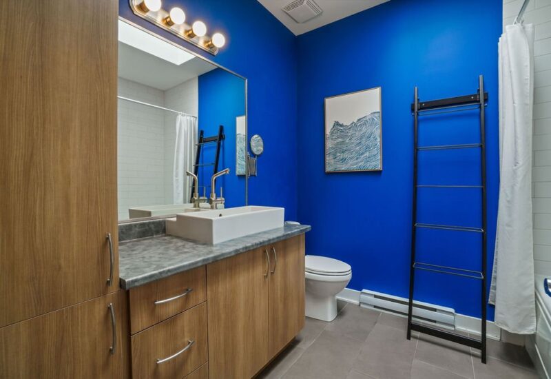 6675 Rue St-Urbain #302 Montréal (Rosemont/La Petite-Patrie) (Montréal)