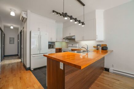 6675 Rue St-Urbain #302 Montréal (Rosemont/La Petite-Patrie) (Montréal)