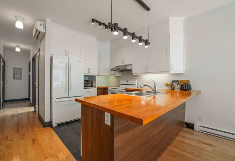 6675 Rue St-Urbain #302 Montréal (Rosemont/La Petite-Patrie) (Montréal)
