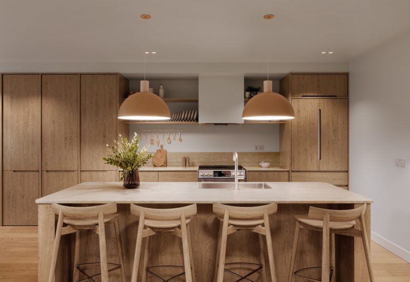 6293 Rue De La Roche Montréal (Rosemont/La Petite-Patrie) (Montréal)