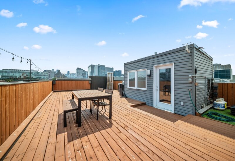 849 Rue St-Timothée Montréal (Ville-Marie) (Montréal)