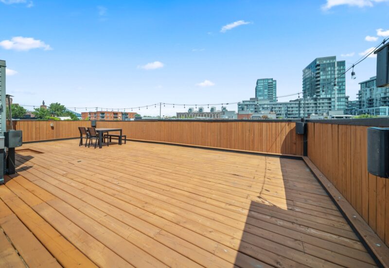 849 Rue St-Timothée Montréal (Ville-Marie) (Montréal)